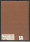Syringidium ? palaemon Ehr. (de-Toni-Nr.: Genus 152, Species 4199) Zeichnungen Sammlung Grunow Mappe 04201 (Herbarium_W_Grunow_drawings_Folder_04201)